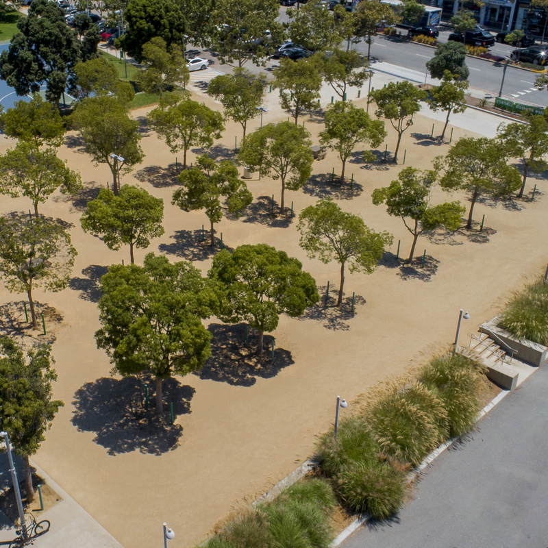 Virginia Park, Santa Monica