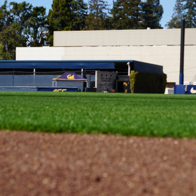 Pro Gold Warning Track Blend w/Cinders - Evans Field at UC Berkeley
