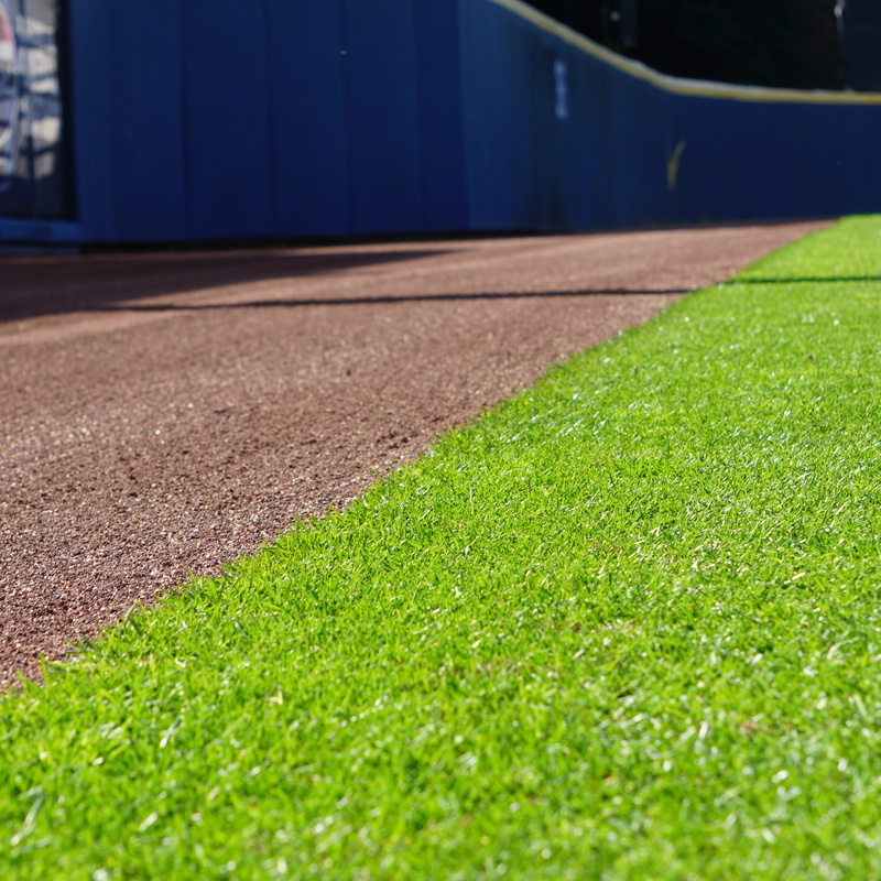 Pro Gold Warning Track Blend w/Cinders - Evans Field at UC Berkeley