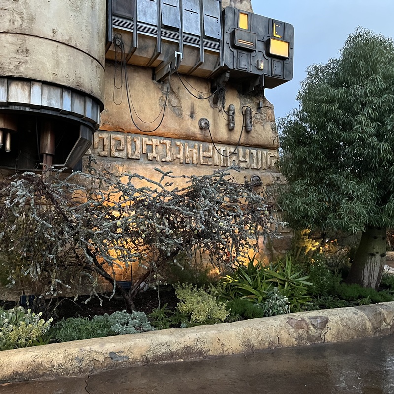 Star Wars Land - Disney Mix Topsoil